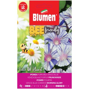 Confezione di semi di Campanella veneziana blu, pianta rampicante con fiori azzurri.