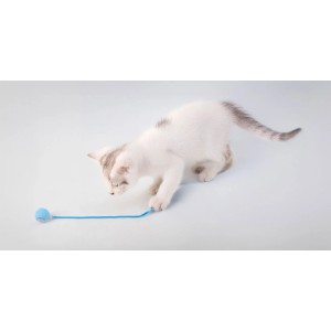 Gatto giocherellone con giocattolo per gatti blu "Catch me!".