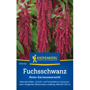 Kiepenkerl Coda di Volpe Rossa: Semi di amaranto per aiuole, fiori recisi e bouquet secchi.
