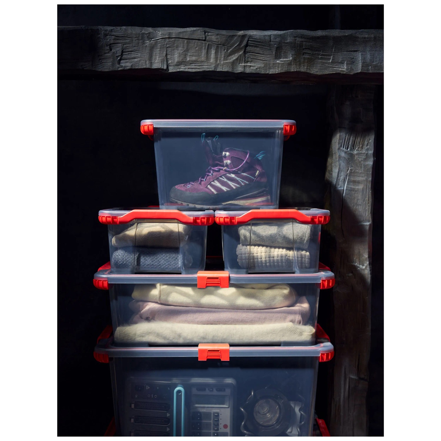 Rotho Box Evo Total Protection 44 l kaufen bei OBI