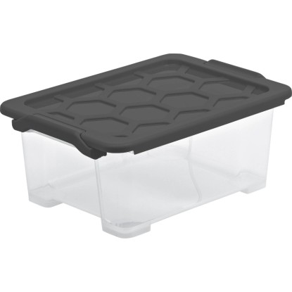 Rotho Aufbewahrungsbox Evo Safe Kunststoff Anthrazit 11 l