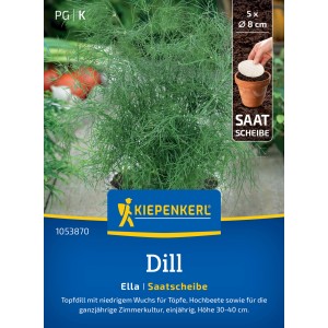 Kiepenkerl Aneth en Pot Ella Disque de Semences : Aneth touffu en pot, idéal pour cuisine et balcon.