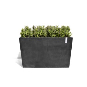Fioriera rettangolare Ecopots Paris grigio scuro con piante.
