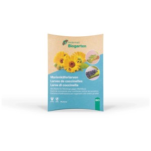 Carte de commande de larves de coccinelles pour lutter contre les pucerons dans le jardin biologique.