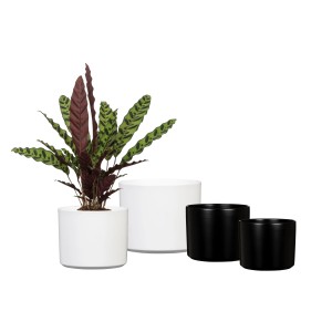 Vaso per piante Scheurich Monaco in Panna, bianco e nero, diverse dimensioni.