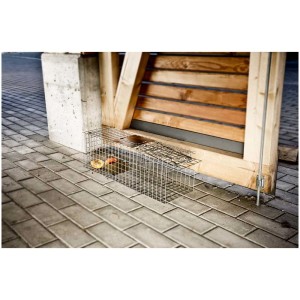 Windhager Marderfalle aus verzinktem Draht mit Köder auf Pflastersteinen vor Holzwand.
