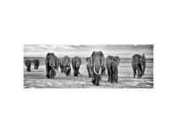 Leinwand-Wandbild Troupeau éléphants 30 x 97 cm