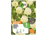 GROW by OBI Narzisse Arctic Bells Gelb 8 Stk.