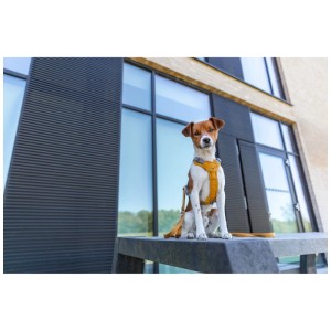 Cane con pettorina Trixie Premium Active color curry, regolabile 49-69 cm.