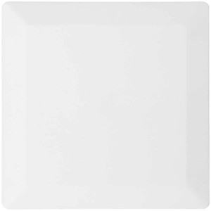 Plaque de recouvrement blanche Max Hauri (130x130 mm) design priamos pour goulottes.