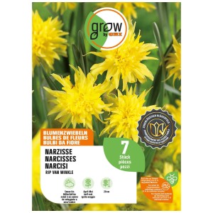 Gelbe Narzisse 'Rip van Winkel' (20 cm) von GROW by OBI als Blumenzwiebeln-Pack.