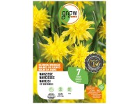 GROW by OBI Narzisse Rip van Winkel Gelb 20 cm