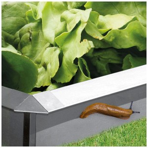 Clôture anti-limaces Bellissa en acier avec laitue et limace. Protection efficace contre les limaces dans le jardin.