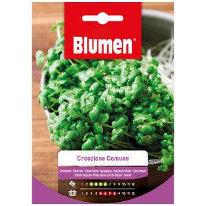 Semi di crescione Mauser: confezione di crescione fresco e verde per insalate e zuppe.