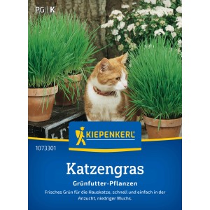 Kiepenkerl herbe à chat avec chat et herbes vertes en pot.