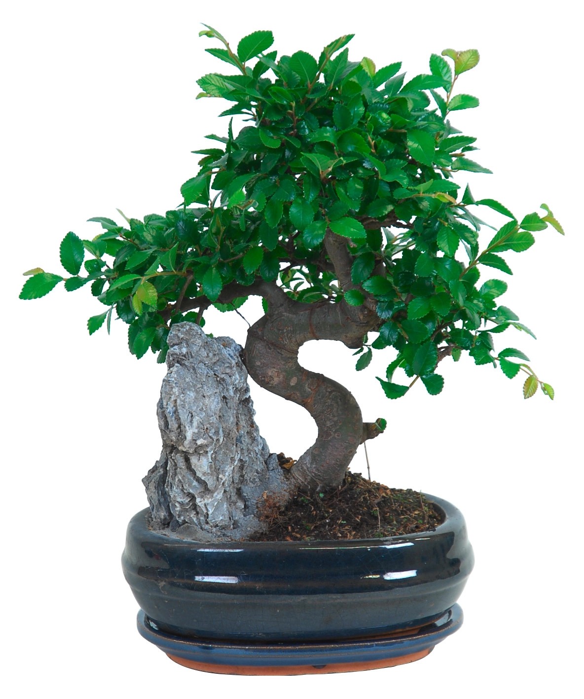 outdoor bonsai table No. 7 Pagoda Bonsai Garden Stand main image 0