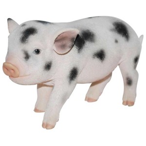 Vivid Arts Mini-Schwein, weiß mit schwarzen Flecken, Gartendeko.