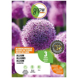 GROW by OBI aglio ornamentale 'Gladiator', bulbo da fiore viola per un'altezza di 125 cm.