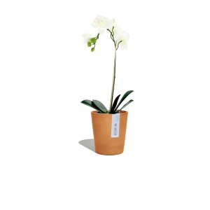 Pot de fleurs Ecopots Morinda Terra, Ø 14cm, avec orchidée blanche dans le pot.