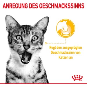 Gatto che si lecca le labbra, Royal Canin Sensory Taste cibo umido per gatti schizzinosi.