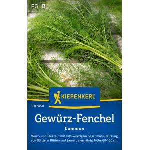 Kiepenkerl Finocchio aromatico Common: Erba con foglie verdi e fini per tè e spezie.