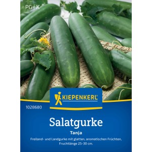 Concombre Tanja Kiepenkerl : concombres vert foncé et lisses, idéaux pour la culture au jardin.