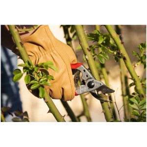 Guanto da lavoro in pelle Felco taglia M mentre pota le rose. Abbigliamento da giardino per un lavoro sicuro.