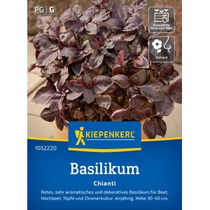 Graines de basilic Chianti Kiepenkerl avec des feuilles rouge foncé.