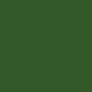 Campione di colore: Verde foglia, lucido. OBI Buntlack Spray RAL 6002 per interni ed esterni.