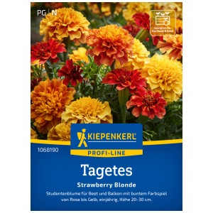 Kiepenkerl Tagetes Strawberry Blonde : Œillets d'Inde jaunes, oranges et rouges. Graines de fleurs pour massifs et balcons.