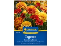 Kiepenkerl Saatgut Tagetes Strawberry Blonde 20 Pflanzen Kiepenkerl Saatgut Tagetes Strawberry Blonde 20 Pflanzen
