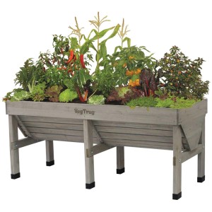 VegTrug aiuola rialzata media grigia, piantata con verdure, erbe aromatiche e mais. Letto rialzato in legno per giardino e balcone.