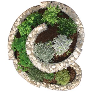 Petite spirale à herbes aromatiques en gabion (60x110x90cm) plantée, vue de dessus. Carré potager surélevé en gabion pour herbes.