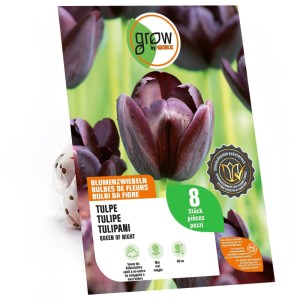 GROW by OBI Bulbes de tulipes Queen of Night, 8 pces. Emballage avec fleurs violet foncé-noir et un bulbe.