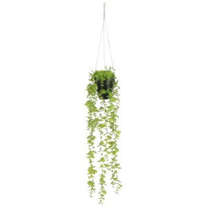 Pianta artificiale di eucalipto pensile in vaso, foglie verdi, Ø 9 cm, altezza 54 cm.