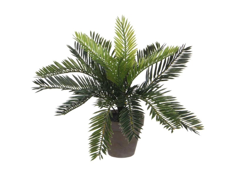 Mica Decorations Kunstpflanze CycasPalme Grün Topf Ø 34 cm / Höhe 33