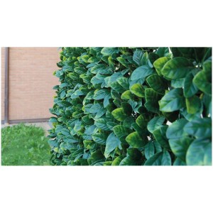 Haie artificielle 3D Osmanthus comme brise-vue de balcon vert devant un mur de maison.