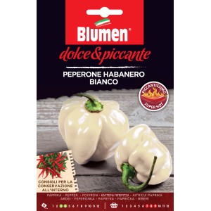 Graines de piment Habanero Bianco : Variété de piment blanc et fort.