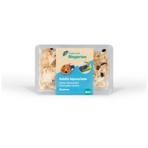 Andermatt Biogarten Adalia coccinelle, 25 pz. in confezione plastica con trucioli di legno.