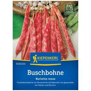 Seme di fagiolo nano Borlotto Rosso Kiepenkerl: Fagioli rossi screziati in baccelli e grani sfusi.