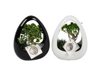 Bonsai-Mix Ikebana Keramik Topf Ø 19 cm / 1 Stk.