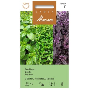 Nastro di semi di basilico con 3 varietà: a foglia grande, a foglia fine, rosso. Semi di erbe aromatiche per aiuole e vasi.