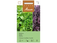 Saatband Basilikum 3 Sorten
