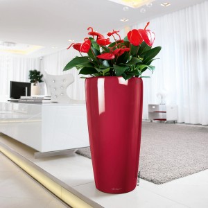 Colonne à plantes Lechuza Rondo Premium rouge brillant, 56 cm de haut, plantée d'anthurium rouge.