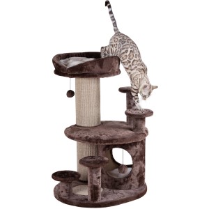 Arbre à chat pour seniors Trixie Emil, marron/beige avec chat grimpant.