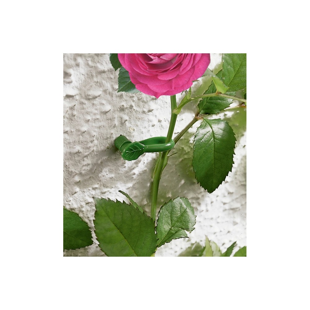 Simsky 50 Pièces Clip De Support Pour Plantes Grimpantes