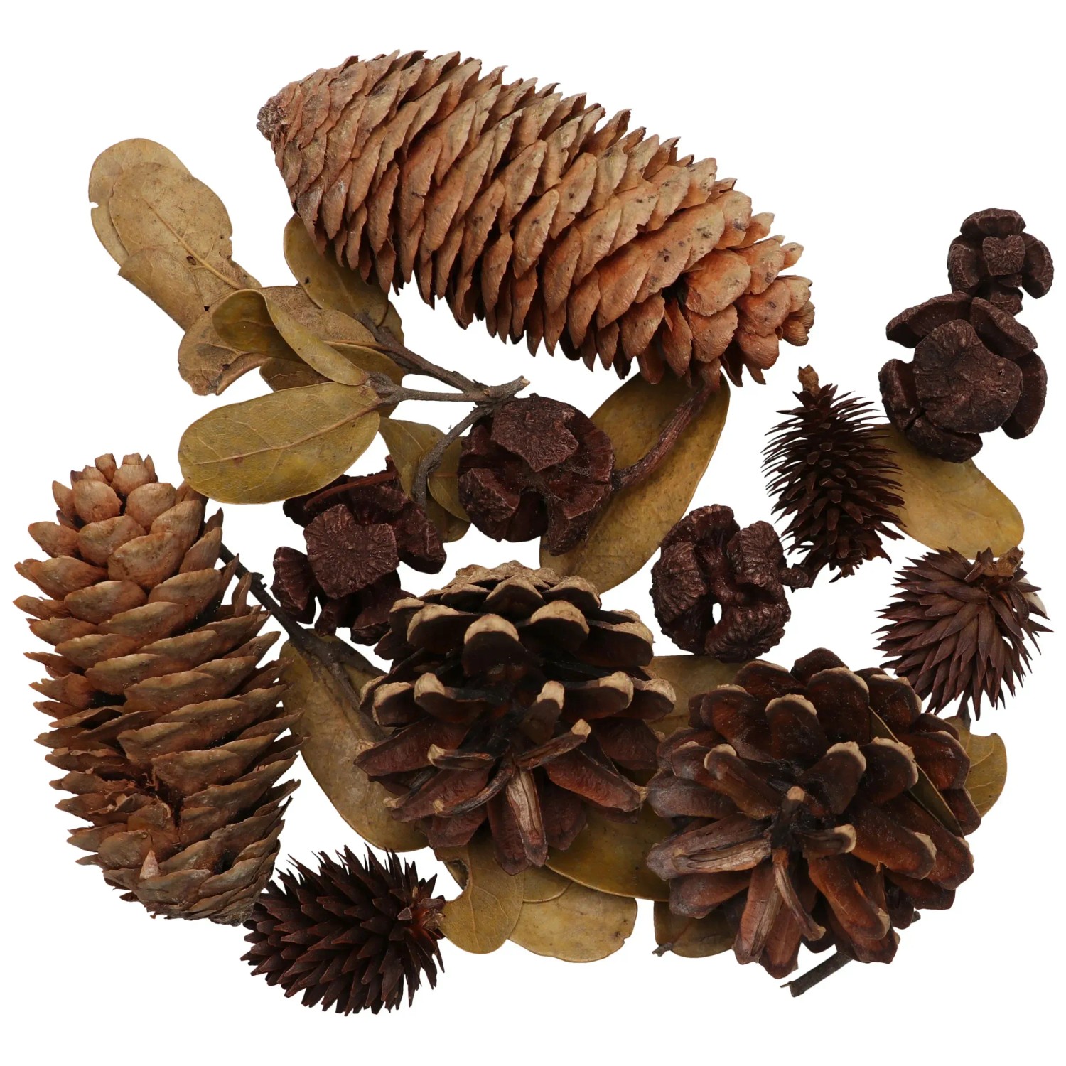 Potpourri Fleurs Multicolores GLOREX - Sachet 11,5 X 8,5 X 0,5 Cm, Pour Décor Savons, Bougies, Pièces