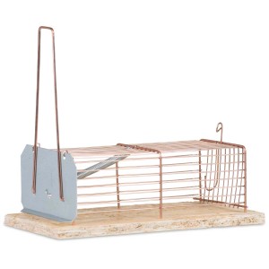 Windhager Cage à souris en fil de fer, piège à souris vivant, 7x5x16cm.