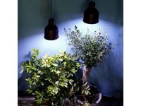 LED-Pflanzenlampe Winter 18 W / E27