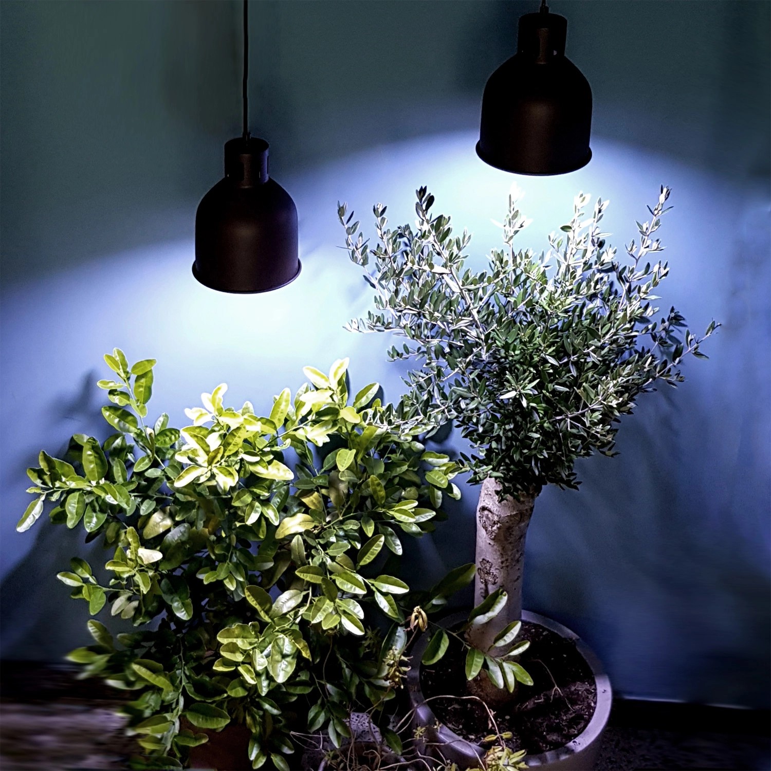 Lampe à poser led avec abat-jour et plante